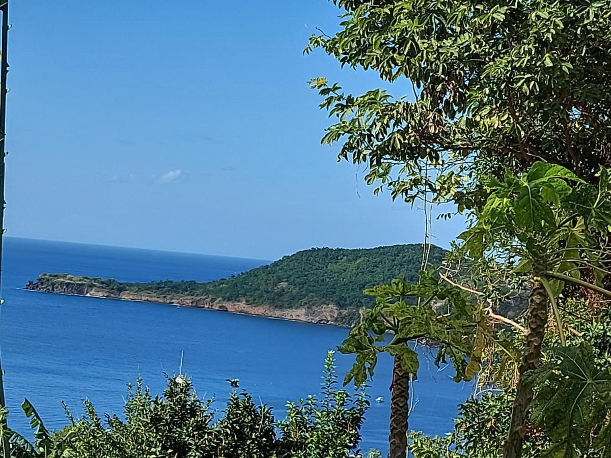 Le Dominad Bas De Villa 700M Du Bain Chaud Canalsat Gratuit Parking Prive Gratuit Wi Fi Gratuit Bouillante Exterior foto
